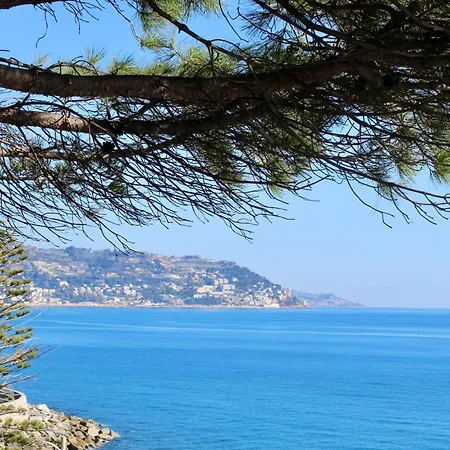 Le Mimose Terrace Apartman *