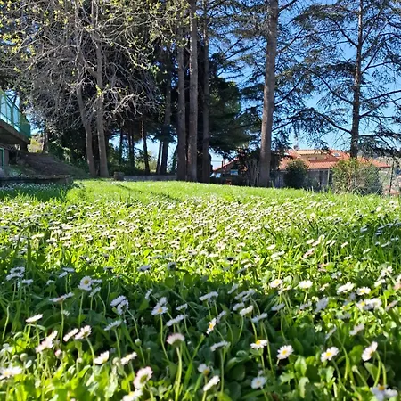 Le Mimose Terrace * Bordighera