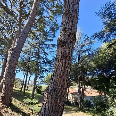 Le Mimose Terrace Apartman *