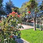 Апартаменты Le Mimose Terrace *