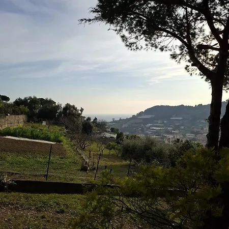 Le Mimose Terrace