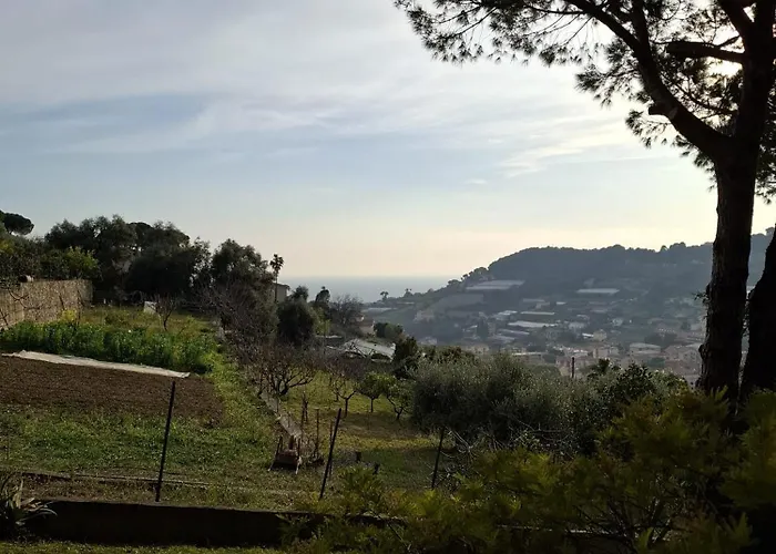 Le Mimose Terrace
