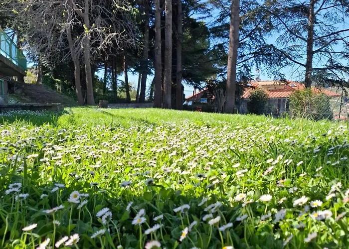 Le Mimose Terrace * Bordighera